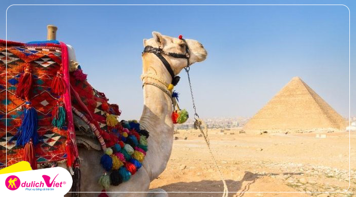 Du lịch Ai Cập mùa Thu khám phá Cairo - Aswan - Kom Ombo - Edfu - Luxor khởi hành từ Hà Nội 2023