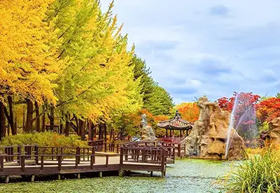 TOUR HÀN QUỐC MÙA THU 6N5Đ | SEOUL - JEJU - NAMI - DU THUYỀN SANBANGSAN