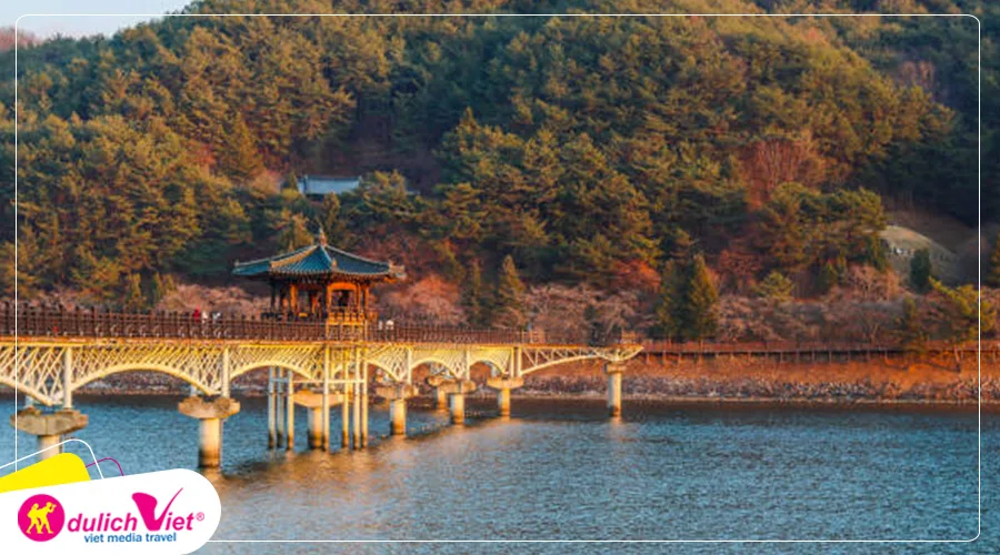 TOUR HÀN QUỐC MÙA HOA ANH ĐÀO 6N5Đ | HÀ NỘI - BUSAN - SEOUL - ĐẢO NAMI - INCHEON - NGẮM HOA ANH ĐÀO