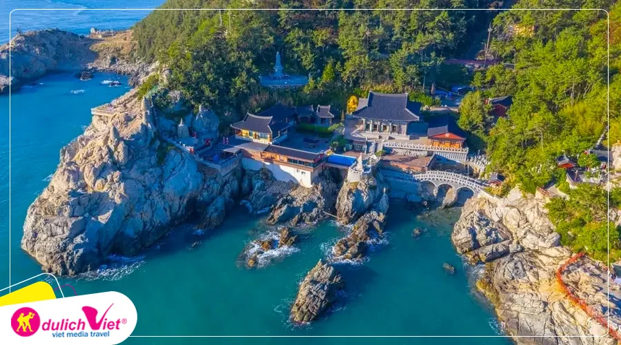 TOUR HÀN QUỐC MÙA HOA ANH ĐÀO 6N5Đ | BUSAN – GYEONGJU – SEOUL – ĐẢO NAMI – TÀU ĐIỆN – NGẮM HOA ANH ĐÀO
