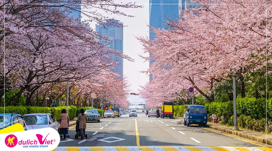Đường Dalmaji Haeundae
