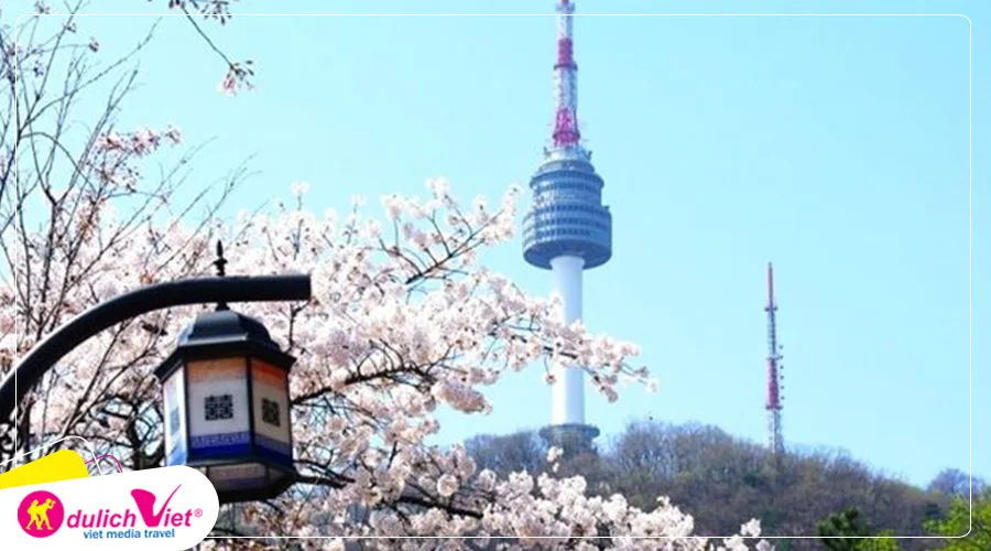 TOUR HÀN QUỐC MÙA HOA ANH ĐÀO 5N4Đ | SEOUL – NAMI – EVERLAND – CÔNG VIÊN YEOUIDO – RỪNG SEOUL- THƯ VIỆN SÁCH