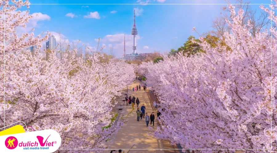 TOUR HÀN QUỐC 5N4Đ | SEOUL - NAMI - EVERLAND – NGẮM HOA ANH ĐÀO CÔNG VIÊN YEOUIDO - RỪNG SEOUL
