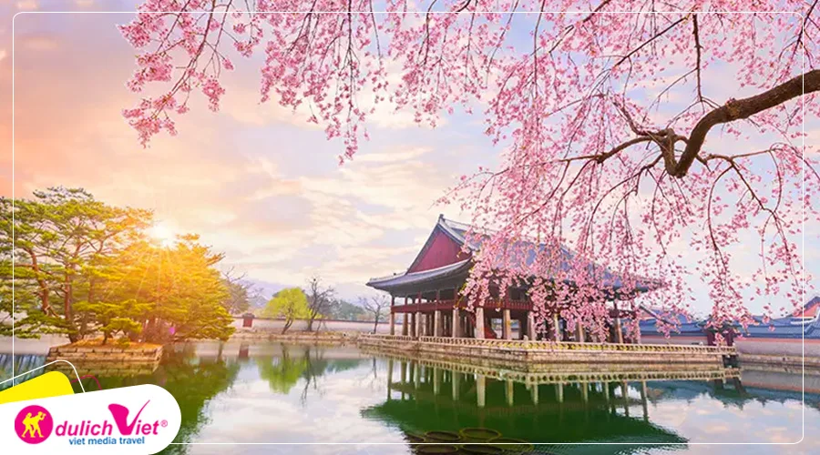 TOUR HÀN QUỐC MÙA HOA ANH ĐÀO 5N4Đ | SEOUL-NAMI- EVERLAND – NGẮM HOA ANH ĐÀO CÔNG VIÊN YEOUIDO