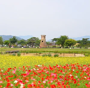 TOUR HÀN QUỐC MÙA HOA ANH ĐÀO 6N5Đ | HÀ NỘI - BUSAN - GYEONGJU - SEOUL - ĐẢO NAMI - TÀU ĐIỆN - NGẮM HOA ANH ĐÀO