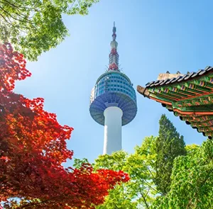 TOUR HÀN QUỐC MÙA HOA ANH ĐÀO 6N5Đ | SEOUL - JEJU - NAMI - CON ĐƯỜNG HOA ANH ĐÀO NOKSAN - DU THUYỀN JEJU - CÔNG VIÊN YEOUIDO