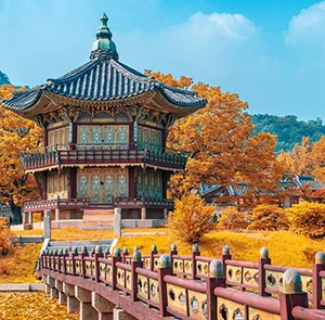 TOUR HÀN QUỐC MÙA HOA ANH ĐÀO 5N4Đ | SEOUL - NAMI - BUSAN - TÀU ĐIỆN - LÀNG VĂN HÓA GAMCHEON - NGẮM HOA ANH ĐÀO