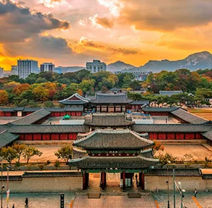 TOUR HÀN QUỐC MÙA HOA ANH ĐÀO 5N4Đ | HÀ NỘI - SEOUL - NAMI - EVERLAND - NGẮM HOA ANH ĐÀO CÔNG VIÊN YEOUIDO