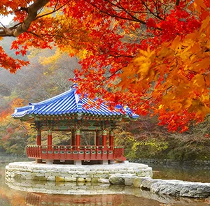 TOUR HÀN QUỐC MÙA HOA ANH ĐÀO 6N5Đ | BUSAN – GYEONGJU – SEOUL – ĐẢO NAMI – TÀU ĐIỆN – NGẮM HOA ANH ĐÀO