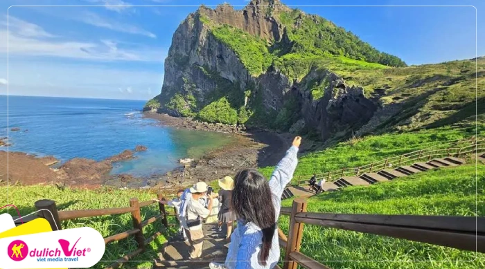 TOUR HÀN QUỐC MÙA HÈ 6N5Đ | HÀ NỘI - SEOUL - JEJU - NAMI - CAMELLIA HILL - NGẮM HOA CẨM TÚ CẦU