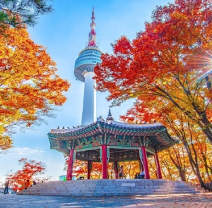 TOUR HÀN QUỐC LỄ 2/9 5N4Đ | HÀ NỘI - SEOUL - NAMI - EVERLAND - THƯ VIỆN SÁCH