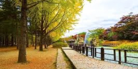 TOUR HÀN QUỐC MÙA HÈ 5N4Đ | HÀ NỘI - SEOUL - NAMI – EVERLAND - PAINTER SHOW - THƯ VIỆN SÁCH - LÀNG CỔ EUNPYEONG HANOK