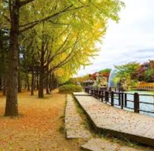 TOUR HÀN QUỐC MÙA HÈ 5N4Đ | HÀ NỘI - SEOUL - NAMI – EVERLAND - PAINTER SHOW - THƯ VIỆN SÁCH - LÀNG CỔ EUNPYEONG HANOK