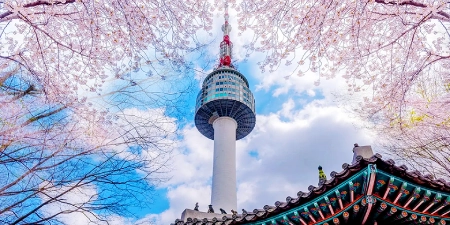 TOUR HÀN QUỐC MÙA HÈ 5N4Đ | HÀ NỘI - SEOUL - NAMI - EVERLAND - THƯ VIỆN SÁCH