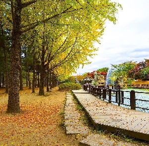 TOUR HÀN QUỐC MÙA HÈ 5N4Đ | HÀ NỘI - SEOUL - NAMI – EVERLAND - PAINTER SHOW - THƯ VIỆN SÁCH - LÀNG CỔ EUNPYEONG HANOK
