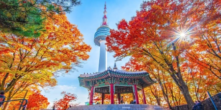 TOUR HÀN QUỐC LỄ 2/9 5N4Đ | HÀ NỘI - SEOUL - NAMI - EVERLAND - THƯ VIỆN SÁCH