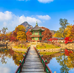 Du lịch Hàn Quốc mùa Thu - Busan - Seoul - Đảo Nami - Incheon từ Hà Nội 2024