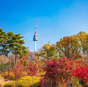 Du lịch Hàn Quốc mùa Thu - Seoul - Nami - Everland - Rừng Seoul - Hái Táo từ Hà Nội 2024