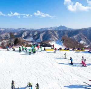 TOUR HÀN QUỐC MÙA ĐÔNG 5N4Đ | HÀ NỘI - SEOUL - NAMI - LOTTE WORLD - TRƯỢT TUYẾT - HÁI DÂU - THƯ VIỆN SÁCH