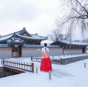 TOUR HÀN QUỐC MÙA ĐÔNG 6N5Đ | HÀ NỘI - BUSAN - SEOUL - ĐẢO NAMI - INCHEON - ĐI PHÀ CHO HẢI ÂU ĂN