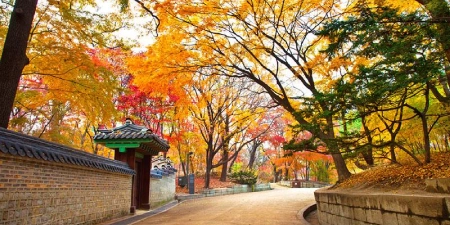 TOUR HÀN QUỐC MÙA HÈ 5N4Đ | HÀ NỘI - SEOUL - NAMI - EVERLAND - THƯ VIỆN SÁCH - PAINTER SHOW