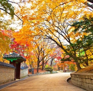 TOUR HÀN QUỐC MÙA HÈ 5N4Đ | HÀ NỘI - SEOUL - NAMI - EVERLAND - THƯ VIỆN SÁCH - PAINTER SHOW