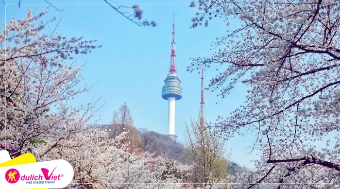 TOUR HÀN QUỐC LỄ 2/9 5N4Đ | HÀ NỘI - SEOUL - NAMI - EVERLAND - THƯ VIỆN SÁCH