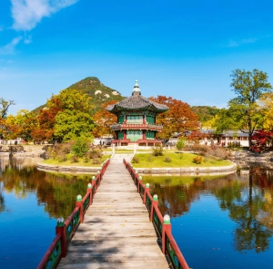 TOUR HÀN QUỐC MÙA THU 5N4Đ | HÀ NỘI - SEOUL - NAMI - EVERLAND - THƯ VIỆN SÁCH SUWON - PAINTER SHOW
