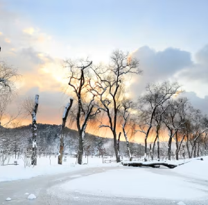 TOUR HÀN QUỐC TẾT NGUYÊN ĐÁN VÀ TẾT DƯƠNG LỊCH 5N4Đ | HÀ NỘI - SEOUL - NAMI - LOTTE WORLD - TRƯỢT TUYẾT - HÁI DÂU - THƯ VIỆN SÁCH