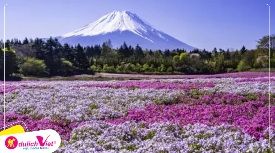 TOUR NHẬT BẢN MÙA HÈ 6N5Đ | OSAKA - KOBE - HIROSHIMA - TOTTORI - OSAKA