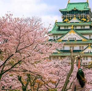 TOUR NHẬT BẢN MÙA HÈ 6N5Đ | OSAKA - NARA - PHÚ SĨ - NAGOYA - KYOTO - OSAKA