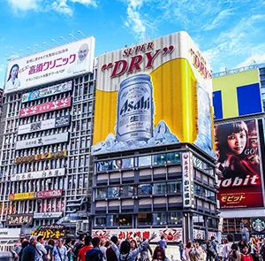 TOUR NHẬT BẢN MÙA HÈ 6N5Đ | NAGOYA - OSAKA - KYOTO - PHÚ SĨ - TOKYO