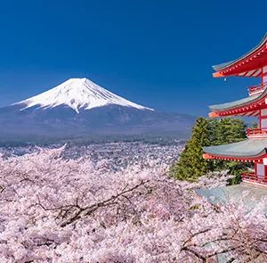 TOUR NHẬT BẢN MÙA HÈ 6N5Đ | TOKYO - PHÚ SĨ - NAGOYA - KYOTO - KOBE - OSAKA (Bay Vietnam Airlines)