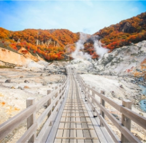 TOUR NHẬT BẢN MÙA THU 6N5Đ | HÀ NỘI - HOKKAIDO - ASAHIKAWA – SAPPORO - NOBORIBETSU - NGẮM LÁ VÀNG MÙA THU