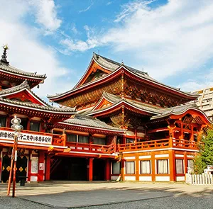 TOUR NHẬT BẢN TẾT NGUYÊN ĐÁN 6N5Đ | OSAKA - KYOTO - LÀNG CỔ SHIRAKAWAGO - TAKAYAMA - NÚI PHÚ SĨ - TOKYO - NGẮM HOA ANH ĐÀO NỞ SỚM