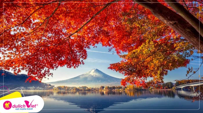 TOUR NHẬT BẢN MÙA THU 6N5Đ | OSAKA - KOBE - KYOTO - NAGOYA - PHÚ SĨ - TOKYO (Vietnam Airlines)