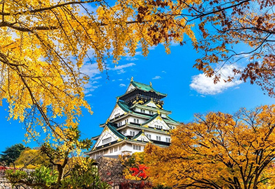 Du lịch Nhật Bản mùa Thu - Tour Osaka - Kobe - Kyoto - Núi Phú Sĩ - Tokyo 6N5Đ từ Hà Nội 2024