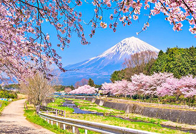 Du lịch Nhật Bản mùa Hoa Anh Đào - Osaka - Kyoto - Nagoya - Fuji Moutain - Tokyo từ Hà Nội 2024
