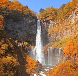 TOUR NHẬT BẢN MÙA THU 5N4Đ | NIIGATA - AIZU - NIKKO - TOKYO - NIIGATA