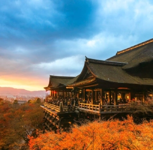 TOUR NHẬT BẢN MÙA THU 6N5Đ | HÀ NỘI - OSAKA - KOBE - NAGOYA - KYOTO - NÚI PHÚ SĨ - TOKYO