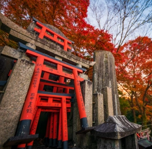 TOUR NHẬT BẢN MÙA THU 6N5Đ | OSAKA - KOBE - KYOTO - NAGOYA - PHÚ SĨ - TOKYO