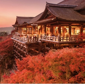 TOUR NHẬT BẢN MÙA THU 6N5Đ | TOKYO - PHÚ SĨ - NAGOYA - KYOTO - KOBE - OSAKA