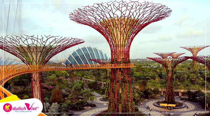 Du lịch Singapore mùa Thu - Garden By The Bay - Floral Fantasy - Đào Sentosa - Jewel từ Hà Nội 2024