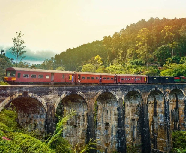 Tour Sri Lanka Hành Trình Kim Cương Tết Dương Lịch 9N8Đ | Colombo - Anuradhapura - Cố đô đá Polonnaruwa - Lion Rock - Dambulla - Kandy - Nuwara Eliya - Safari Yala - Ella - Ahangama - Galle - Ahungalla