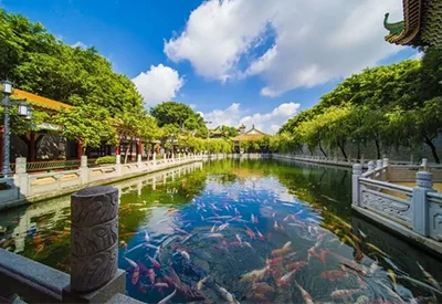 TOUR TRUNG QUỐC MÙA THU 5N4Đ | HÀ NỘI - ÂN THI - TRƯƠNG GIA GIỚI - PHƯỢNG HOÀNG CỔ TRẤN (Bay Vietnam Airlines)