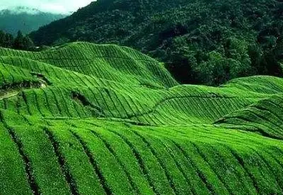 TOUR TRUNG QUỐC MÙA THU 3N2Đ | BÌNH DIÊN - DI LẶC - KIẾN THUỶ - MÔNG TỰ