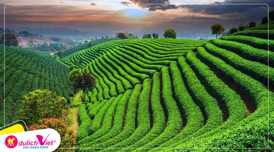 TOUR TRUNG QUỐC MÙA THU 6N5Đ | ĐỒN KHÊ - HOÀNG SƠN - TỀ VÂN TIỂU TRẤN - Ô TRẤN TÂY SÁCH - THƯỢNG HẢI - HÀNG CHÂU