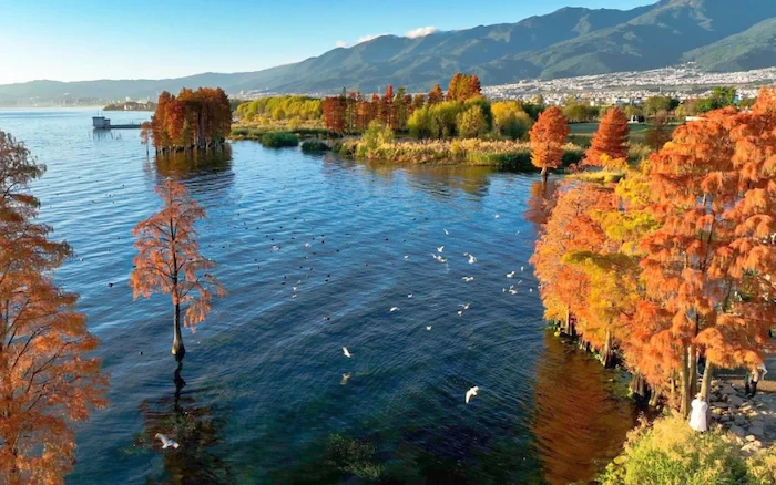 TOUR TRUNG QUỐC MÙA THU 4N3Đ | HÀ KHẨU - ĐẠI LÝ - CÔN MINH