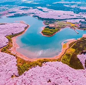 TOUR TRUNG QUỐC MÙA HÈ 6N5Đ | QUÝ DƯƠNG - BÌNH BÁ - THAM NHAM CỔ TRẤN - THIÊN HỘ MIÊU TRẠI - THẬP BÁT TRẠI - CHÙA TÂY PHỔ ĐÀ