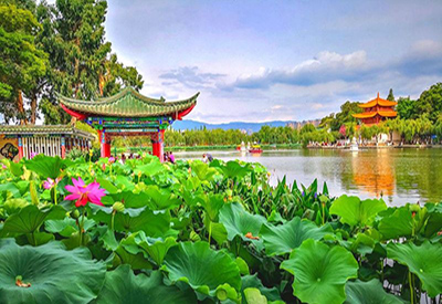 Du lịch Trung Quốc mùa Hoa Anh Đào - La Bình - Nghi Lương - Côn Minh từ Hà Nội 2024